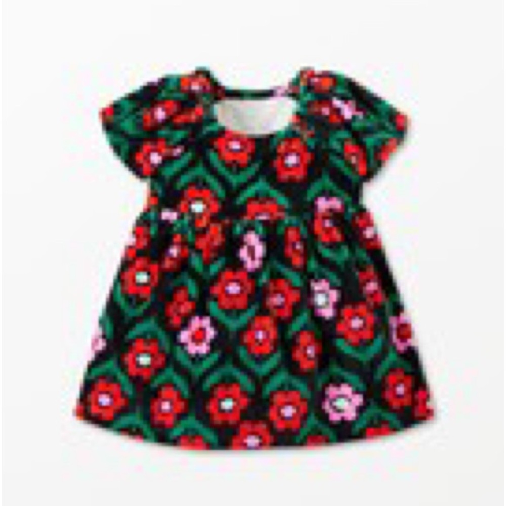 Hanna Andersson NWOT dress